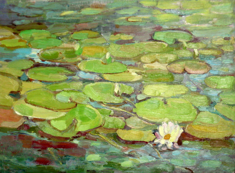 lilie wodne, technika olej na płótnie, wym.38x50, rok 2009, obraz w kolekcji prywatnej